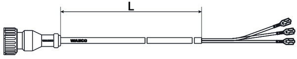 Cable with Socket